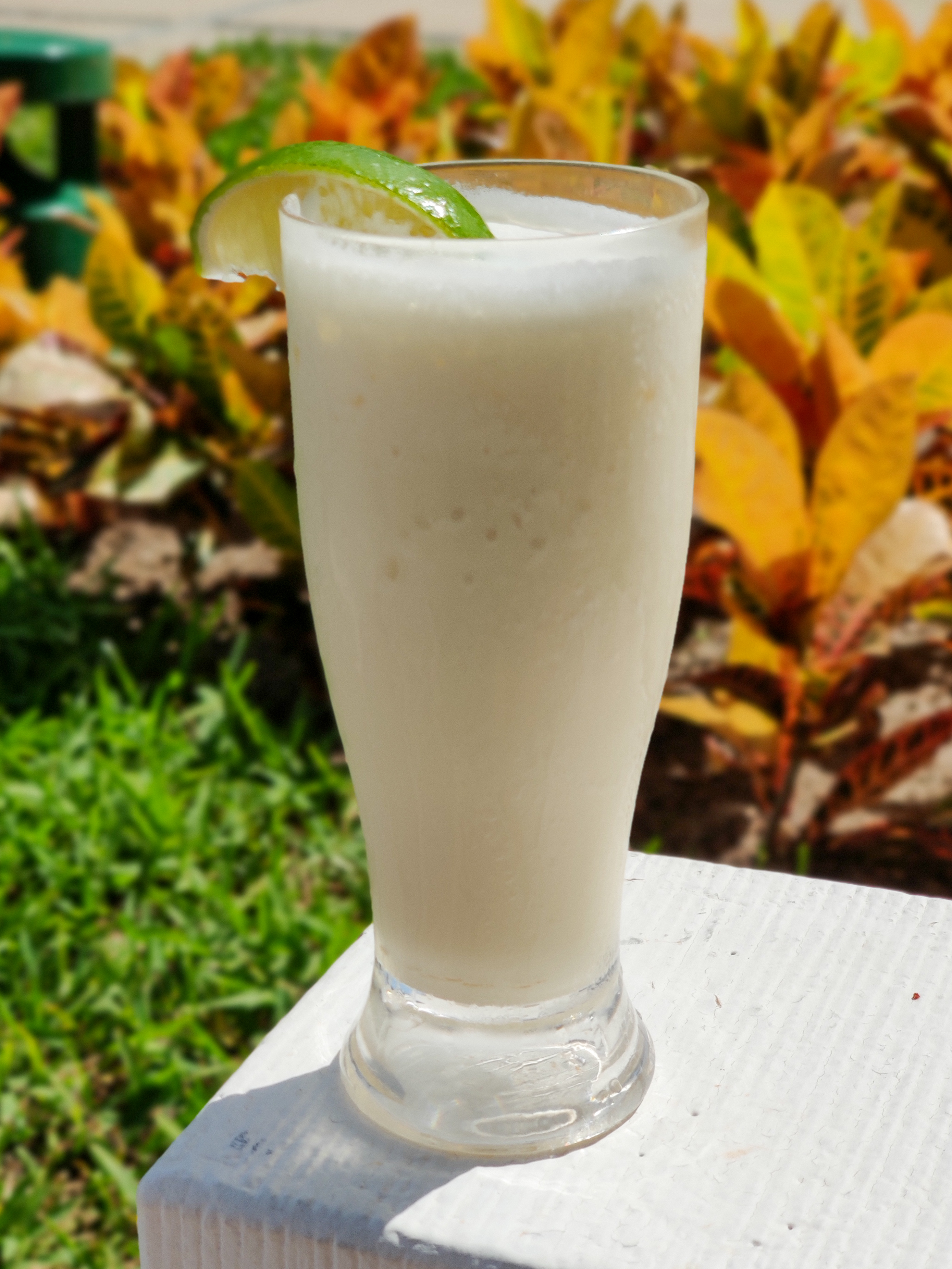 IMG_20190809_152615_Bokeh